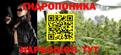 стаф Обь