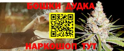 стаф Обь