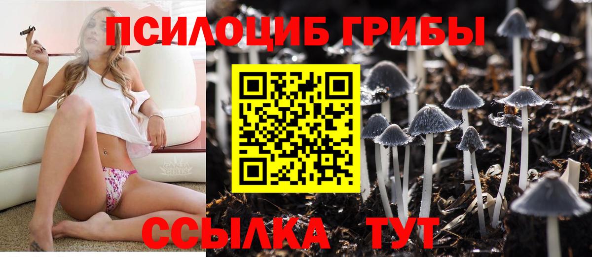 Псилоцибиновые грибы прущие грибы  купить наркотики цена  Псилоцибиновые грибы мицелий  Россошь  Вход с VPN 